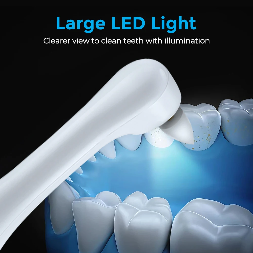 電動歯磨き器歯のホワイトニングクリーナー 6 ブラシヘッド  - Teeth Whitening Zoom のレビューと価格