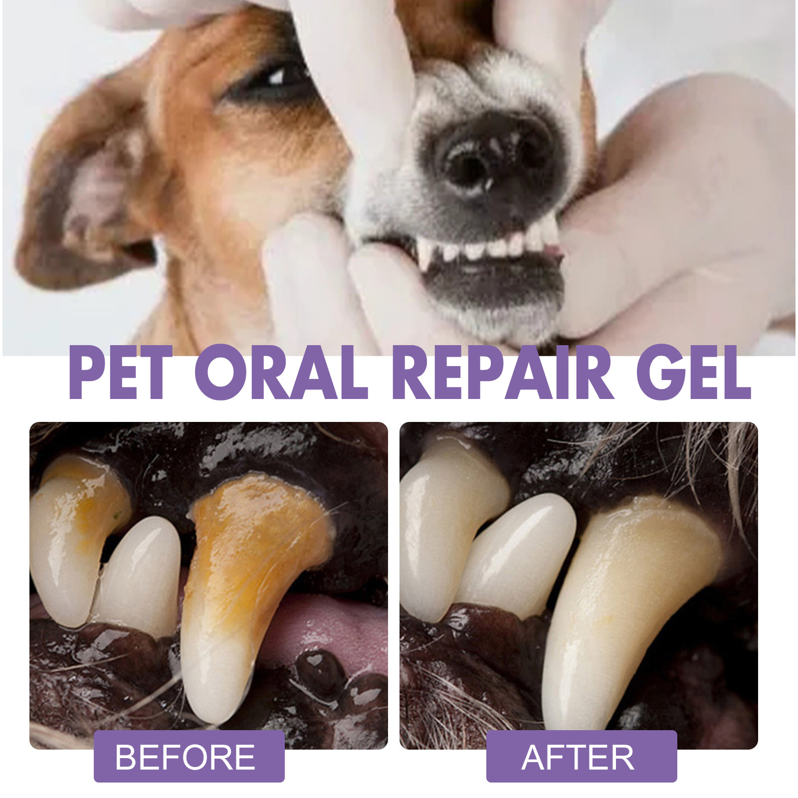 ペット口腔修復ジェル子犬歯石除去消臭剤白くする猫犬歯ステイン - Teeth Whitening App のレビューと価格